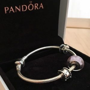 Pandora sterling silver charm bracelet